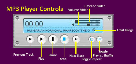 MP3 Player Controls